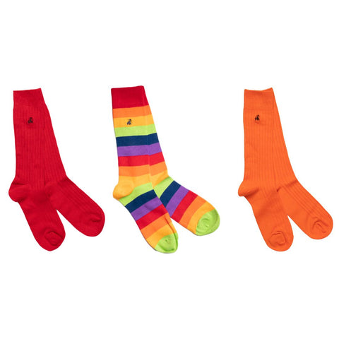 Pride Stripe Sock Box - 3 Pairs of Bamboo Socks (His)