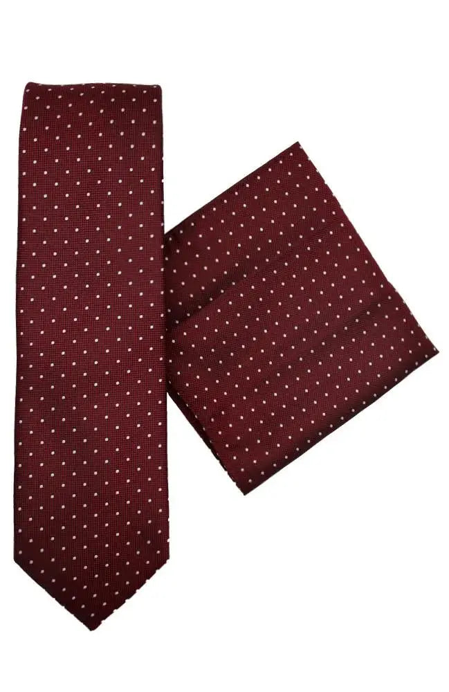 LA Smith Polka Dots Spot Tie and Pocket Square Set - Accessories
